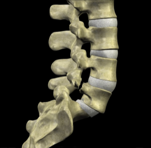 Stacks Image 3